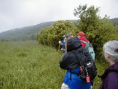 Hiking NCT FLT M20 Cortland County group hike series