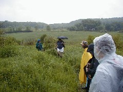 Hiking NCT FLT M20 Cortland County group hike series; Irene Szabo; raining