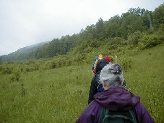 Ruth Bennett McDougal Dorrough; Hiking NCT FLT M20 Cortland County group hike series