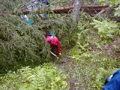 Hiking NCT FLT M20 Cortland County Hike series