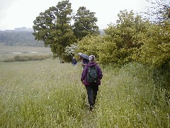 Hiking NCT FLT M20 Cortland County Hike series