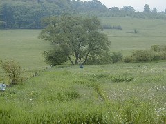 Hiking NCT FLT M20 Cortland County Hike series