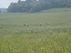 Hiking NCT FLT M20 Cortland County Hike series