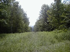 Hiking NCT FLT M20 Cortland county group hike