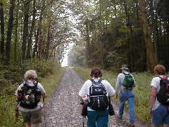 Hiking NCT FLT M20 Cortland County Group Hike