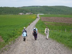 Ruth Bennett McDougal Dorrough; Teresa Blennnis; Cortland County Hike Series; Hiking; NCT; FLT; M-21