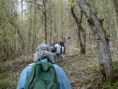 Hiking NCT FLT M21 Cortland County group hike