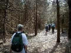 Hiking NCT FLT M21 Cortland County Group Hike