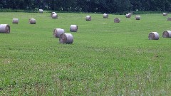 baled hay; NCT; Michigan; MI-02