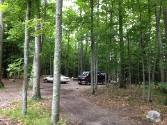 Campground in Manistee National Forest MI