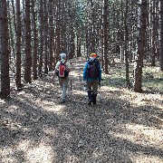 NCT; Michigan; Joan Young; Ruth Bennet McDougal Dorrough McDougal Dorrough; Rt 115 to Hodenpyl Dam Trail