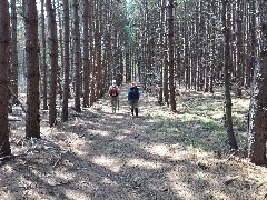 NCT; Michigan; Joan Young; Ruth Bennet McDougal Dorrough McDougal Dorrough; Rt 115 to Hodenpyl Dam Trail