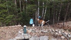 Dove Day; Lucky the dog; Cindys Burns House, MI