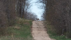 deer; NCT; Corey rd, MI