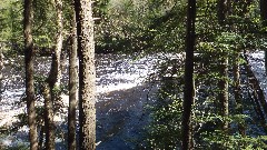 NCT; Tahquamenon River, MI