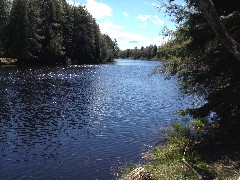 NCT; River Trail; Tahquamenon River; Whitefish, MI