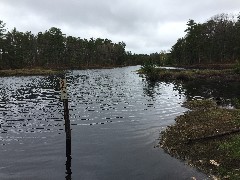 NCT; Dry Lakes, MI