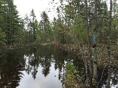 NCT; flooded trail; Swamp Lakes Rd, MI