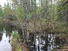 NCT; flooded trail; Swamp Lakes Rd, MI