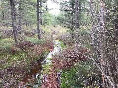 NCT; flooded trail; Swamp Lakes Rd, MI