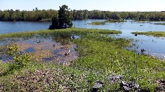 NCT; Dead River; Little Presque Isle, MI