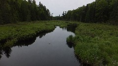 NCT; Craig Lake, MI