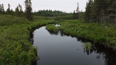 NCT; Craig Lake, MI