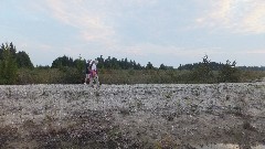 John, Dove Day; Ruth Bennett McDougal Dorrough; Waugoshance Point Rd Carp Lake, MI 49718, MI