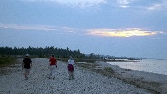 John, Dove Day; Ruth Bennett McDougal Dorrough; Waugoshance Point Rd Carp Lake, MI 49718, MI