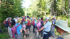 NCT; group hike; Little Garlic Falls; Marquette, MI