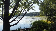 Hiking; NCT; Hall Lake Trail; Kalamazoo Michigan