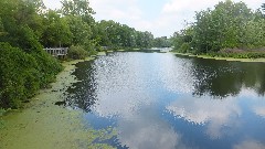 NCT; Battle Creek Linear Park Battle Creek, MI 49017