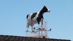 Cow statue; Michigan; Marquette