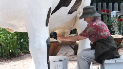 Ruth Bennett McDougal Dorrough; milking a cow statue; Michigan; Marquette