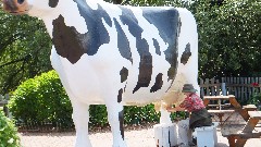 Ruth Bennett McDougal Dorrough; milking a cow statue; Michigan; Marquette