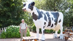 Dan Dorrough; cow statue; Michigan; Marquette