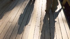 shadows; Pictured Rocks Outing