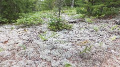 North of Little Beaver Lake; NCT; Michigan; Pictured Rocks Outing