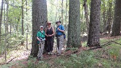 Ruth Bennett McDougal Dorrough; Beth Keloneva; Ruth Bennett McDougal Dorrough; Hiking; NCT; Michigan; White Cloud