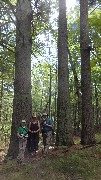 Ruth Bennett McDougal Dorrough; Beth Keloneva; Dan Dorrough; Hiking; NCT; Michigan; White Cloud