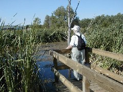 Ruth Bennett McDougal Dorrough; NCMC hike Michigan NCT Hiking