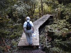 Ruth Bennett McDougal Dorrough; Michigan NCT Hiking