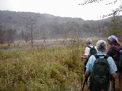 Jordan River Valley Hike Michigan NCT Hiking