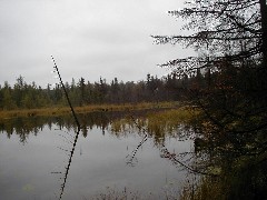 Jordan River Valley Hike Michigan NCT Hiking