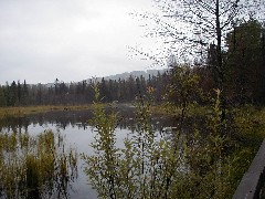 Jordan River Valley Hike Michigan NCT Hiking