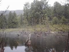 Jordan River Valley Hike Michigan NCT Hiking