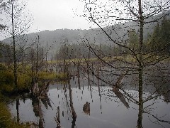 Jordan River Valley Hike Michigan NCT Hiking