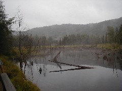 Jordan River Valley Hike Michigan NCT Hiking