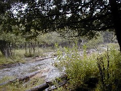 Jordan River Valley Hike Michigan NCT Hiking