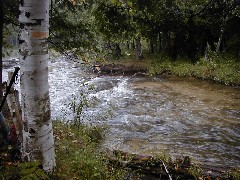 Jordan River Valley Hike Michigan NCT Hiking